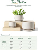 LE TAUCI Plant Pots, 4.1+5.1+6.5 inch, Set of 3, Ceramic Planters with Drainage Hole and Saucer, Indoor Flower Pot with Hole Mesh Pad, Gifts for Mom, Reactive Glaze Beige by GreenHaven Gardens