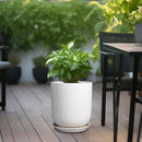 Pots for Plants - 10 Inch Ceramic Plant Pot with Drainage Hole and Saucer Large Planter for Plants Indoor Outdoor Modern Flower Pot for Home Decor White by GreenHaven Gardens