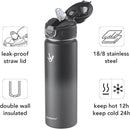 Enerbone 24 oz Insulated Water Bottle, Stainless Steel Bottle with Carrying Strap, Double-Wall Vacuum Insulation Design, Leakproof Sports Bottle with Straw, Keep Drinks Cold or Hot for Hours by CozyNest Decor