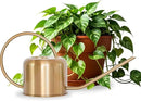 Stainless Steel Watering Can for Houseplants by Houseplant Resource Center | 1L Capacity for Indoor/Outdoor Plants in Brushed Gold by GreenHaven Gardens