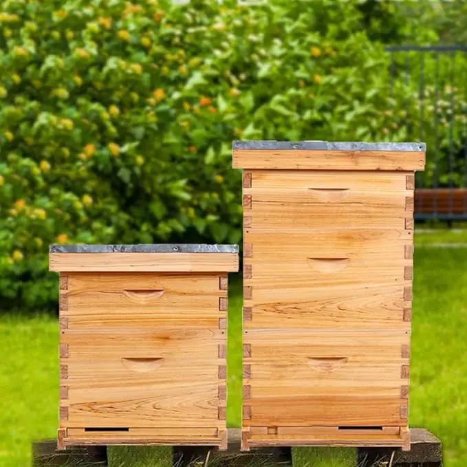 POLLIBEE 10 Frame Bee Hive,Beeswax Coated Beehive Kit for Bee Keeper,Complete Beehive Include 1 Deep Brood Bee Box and 1 Medium Bee Hive Box with Frame and Foundation, photo 7 of 7