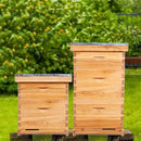 POLLIBEE 10 Frame Bee Hive,Beeswax Coated Beehive Kit for Bee Keeper,Complete Beehive Include 1 Deep Brood Bee Box and 1 Medium Bee Hive Box with Frame and Foundation by GreenHaven Gardens