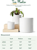 LE TAUCI Ceramic Plant Pots Indoor, 10 Inch 8 Inch 6 Inch Planters for Indoor Plants, Mid-Century Modern Flower Pots with Drainage Hole and Plug, Cylinder Round Planter Pots, Set of 3, White by GreenHaven Gardens