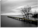 DZL Art S74981 Canvas Prints Modern Minimalist Black and White Lake Trees Landscape Wall Art Painting for Living Room Bedroom Decor Office Wall Decor Home Decoration by CozyNest Decor
