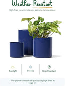 LE TAUCI Large Plant Pots Set, 10/8/6 Inch Ceramic Planters for Indoor Plants, Mid-Century Modern Flower Planter Pots with Drainage Hole and Plug, Cylinder Round Planter Pots, Set of 3, Sapphire Blue by GreenHaven Gardens