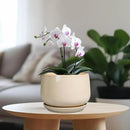 G EPGardening Ceramic Planter - 7 Inch Plant Pots with Drainage and Ceramic Tray, Flower Pots for Indoor Plants, Round Outdoor Planter, Room Decor, Gifts for Plant Lovers, Beige by GreenHaven Gardens