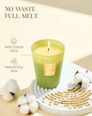 M&SENSE Basil Ginger Scented Natural Soy Wax Candle, 14.1oz 60 Hours Long Lasting Slow Burning Candles for Home Decor, Aromatherapy Candle for Stress Relief by CozyNest Decor