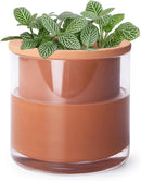 Phoenix Vine 4 Inch Self Watering Plants Pot, Design Terracotta Pot for Plants, Indoor Cylinder Terra Cotta Planter with Glass Vase, Set of 1, 51-A-E-1 by GreenHaven Gardens