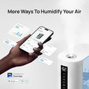 Dreo 6L Humidifiers for Bedroom, Smart Warm & Cool Mist for Large Room, 60Hr Quiet Runtime for Baby, Plant, Humidity Sensor, Indicator Light, 12H Timer, Google/Alexa, Blue by TinyTreasures Baby Boutique