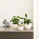 Ceramic Plant Pots with Drainage Holes and Saucers, Round White Flower Pots for Indoor Plant, Diameter 3.3/4.3/5.5 Inches Small Flower Planters Set of 3 by CozyNest Decor