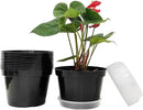 12 Pack Plant Pots, 8 Inch Plant Planter with Clear Saucer, Plastic Pots for Plants Indoor and Out Door Such as Strawberry, Herb and Flowers (Black) by GreenHaven Gardens