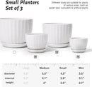 Ceramic Plant Pots with Drainage Holes and Saucers, Round White Flower Pots for Indoor Plant, Diameter 3.3/4.3/5.5 Inches Small Flower Planters Set of 3 by CozyNest Decor