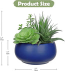 Fake Plants Artificial Succulents in Pots Faux Succulent Arrangement Potted Plant with Blue Ceramic Pot for Home Decor Modern Office Desk Bathroom Shelf Living Room Indoor & Outdoor Decoration by GreenHaven Gardens