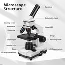 Microscope for Adults Professional:Compound Microscope for Kids 8-12,100X-2000X Kids Microscope Kit with Prepared Microscope Slides and Covers,Plant Stereo Microscopes for Kids Homeschool Lab by TinyTreasures Baby Boutique