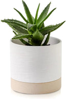 Nihow Ceramic Plant Pot: 6 Inch Planter with Drainage Hole & Saucer for Indoor & Outdoor Plants - Cylinder Round Flower Pot for Succulent/Herbs/Violets - White & Brown by GreenHaven Gardens