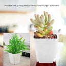 OJYUDD 3inch White Square Plastic Pots with Saucer, Drainage Hole, 24 Pcs, for Flower/Plant, Home,Company,Office and Garden(White) by GreenHaven Gardens