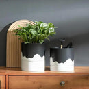Nihow Self Watering Plant Pot: 6 Inch Ceramic Planter with Drainage Hole & Water Storage Plus for Indoor & Outdoor Plants - Cylinder Round Flower Pot for Succulent/Herbs/Violets - Black & Wave White by CozyNest Decor
