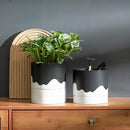 Nihow Ceramic Plant Pot: 6 Inch Planter with Drainage Hole & Saucer for Indoor & Outdoor Plants - Cylinder Round Flower Pot for Succulent/Herbs/Violets - Black & Wave White by CozyNest Decor