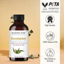 Majestic Pure Eucalyptus Essential Oil with Glass Dropper - 1 Fl Oz - 100% Pure and Natural Eucalyptus Oil - Premium Grade Essential Oils for Diffuser, Aromatherapy, Soap and Candle Making by CozyNest Decor