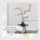 Faux White Orchid Plant, Premium Artificial Indoor Flower Display Stands 24”, Beautiful Sculptural Blooms That Lasts Forever, Grey Planter Pot Included by CozyNest Decor