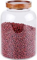 Large Glass Food Canisters, 66 FL OZ(1950ml) Kitchen Serving Stoarge Container with Airtight Acacia Lids, Cereal Dispenser Jars for Spaghetti Pasta, Powder, Spice, Tea, Coffee(7.6inch high) by CozyNest Decor