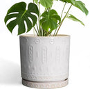 Ceramic Planter Pot - 10 Inch Plant Pot for Indoor Outdoor Plants Round Large Flower Pot with Drainage Holes and Saucer for Home Garden Patio Decor White by GreenHaven Gardens