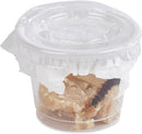 32 Live Caterpillars Shipped Now: Butterfly Kit Refill for School Sized Kit with Extra Larva Rearing Supplies and 32 Little Cups by Nature Gift Store by TinyTreasures Baby Boutique