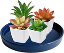 2 Pack Ceramic Plant Saucer Pot Tray 8 Inch, Planter Saucers 4 5 6 7 8 9 10 11 12 Inch for Indoors Outdoor, Durable Sturdy Flower Drainage Tray for Glazed Pots Base (8.5 Inch Blue) by GreenHaven Gardens