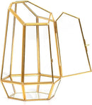 Golden Geometric Glass Terrarium with Door - 9.8" Tall Irregular Clear Planter for Succulents,Ferns,Moss,Cacti | Indoor Fairy Garden,Tabletop Display,Wedding Home Decoration (Plants Not Included) by GreenHaven Gardens