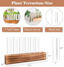 KAXYEW Plant Terrarium with Wooden Stand, Plant Propagation Tubes, 7 Test Tubes Glass Planter for Hydroponic Plant Cuttings Home Office Décor by GreenHaven Gardens