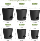 7/6.5/6/5.5/5/4 inch Self Watering Pots for Indoor Outdoor Plants, 6 Pack Plastic Flower Planters with Drainage Holes and Removable Saucers, Plant Pots with Wicking Rope, Modern Decor, Black by GreenHaven Gardens