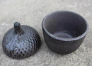 Garden Decoration Pine Cone Cast Iron Key Hider Stone Diversion Safe Key Outside Hider Hide-A-Key Holder Safely Hiding Your Spare Keys for Outdoor Garden or Yard, Geocaching by GreenHaven Gardens