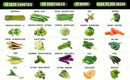 50 Vegetable & Herb Seeds Variety Pack - 25,000 Seeds - Long-Term Storage - Non-GMO Heirloom Open-Pollinated Gardening Seeds for Planting Vegetables & Herbs - Waterproof Packaging by GreenHaven Gardens