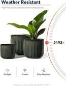 LE TAUCI Fluted Ceramic Planters Set of 3 – 8.3/7 / 5.7 in Dark Olive Reactive Cylinder Indoor Plant Pots with Drainage Plug & Mesh, Glossy Stoneware Flower Pots for Succulents Herbs by GreenHaven Gardens