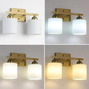 Stainless Steel Milk Glass Vanity Lights for Bathroom, 2 Light Gold Bathroom Light Fixtures Over Mirror, Ceramic E26 Sockets Wall Mounted by CozyNest Decor