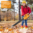 Cordless Leaf Blower Handheld Electric Battery Powered Air BlowerÊMax 124MPH 300CFM with 2 Adjustable Speeds 2Pcs 18V 2000mA Battery and Charger for Y