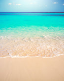 Tropical White Sand Paradise Beach Ocean Wave Scenery Wall Mural.