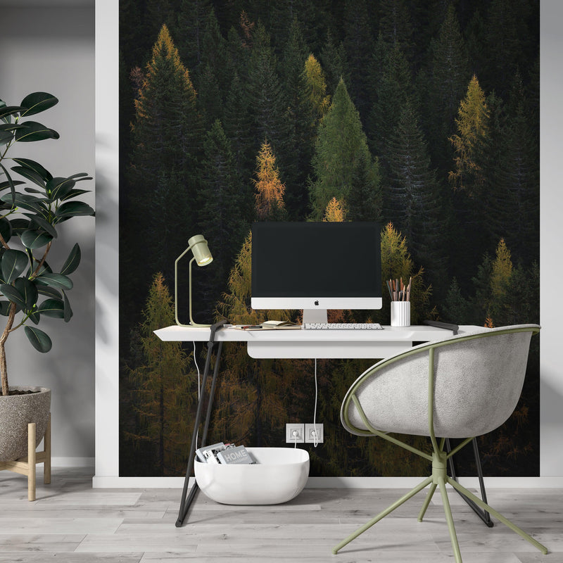 Enchanted Forest Tree Woodland Peel and Stick Wallpaper | Removable Wall Mural