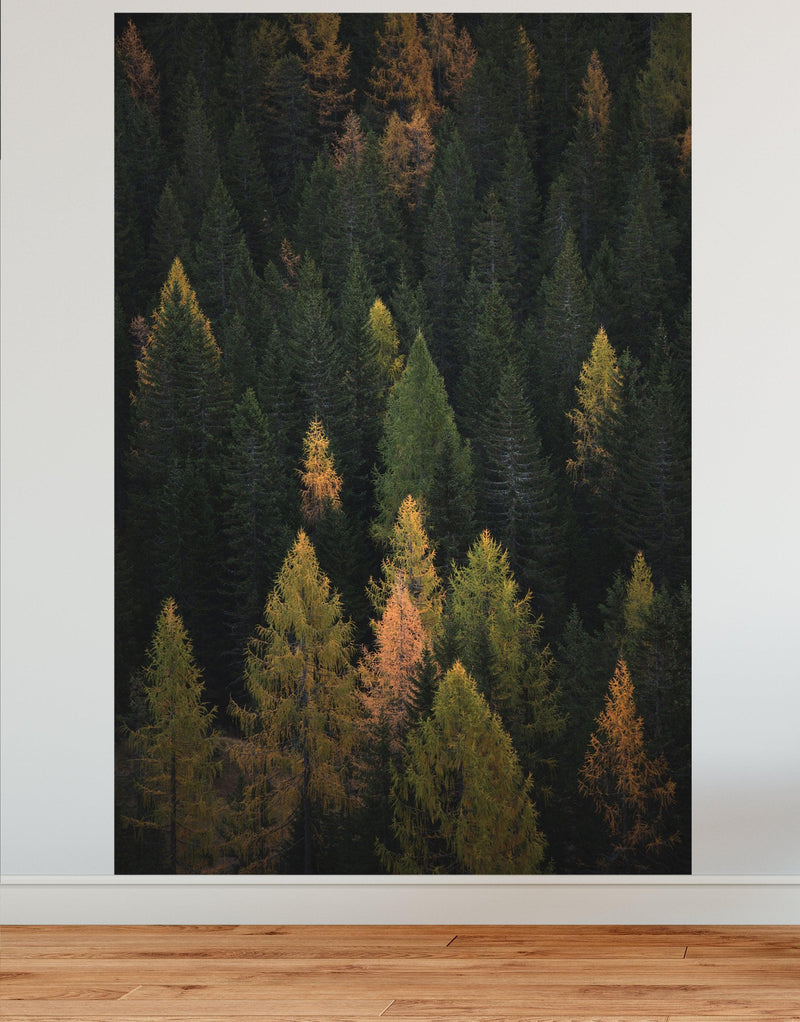 Enchanted Forest Tree Woodland Peel and Stick Wallpaper | Removable Wall Mural