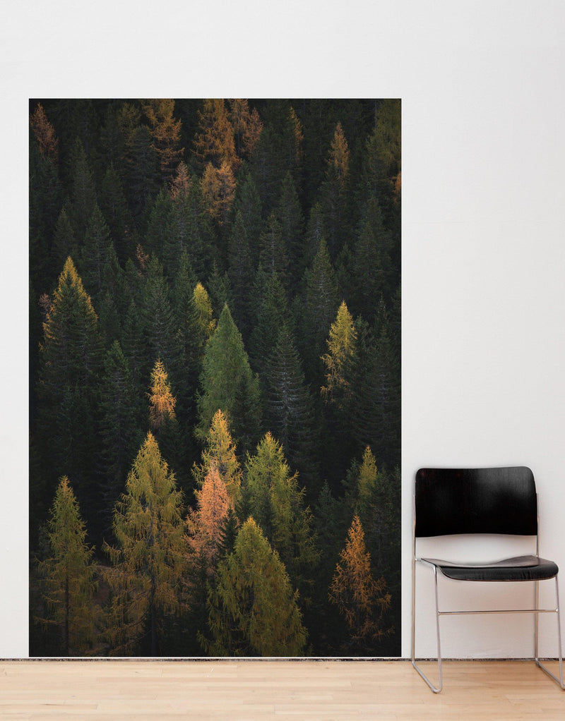 Enchanted Forest Tree Woodland Peel and Stick Wallpaper | Removable Wall Mural