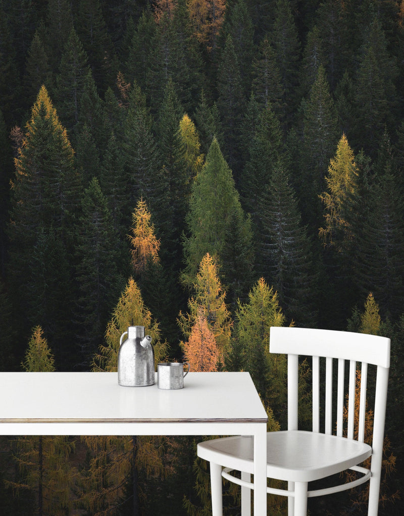 Enchanted Forest Tree Woodland Peel and Stick Wallpaper | Removable Wall Mural