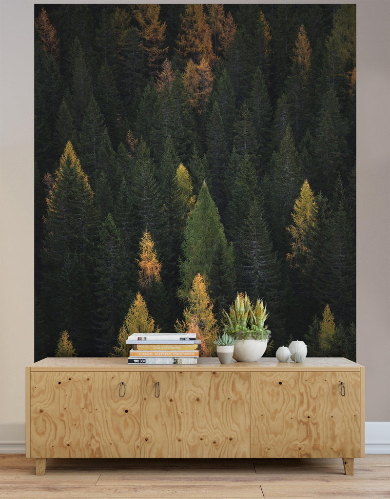 Enchanted Forest Tree Woodland Peel and Stick Wallpaper | Removable Wall Mural