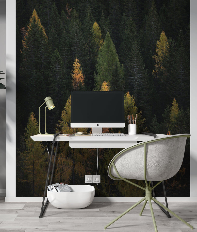 Enchanted Forest Tree Woodland Peel and Stick Wallpaper | Removable Wall Mural