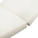 Broadway/Ian Chaise Lounge Cushion by HouseOfZazla