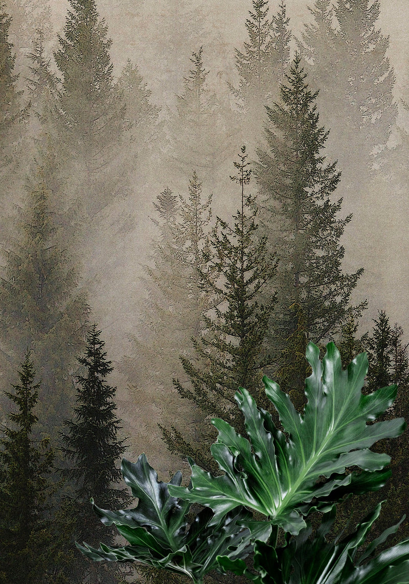 Misty Pine Tree Forest Landscape Wallpaper. Peel and Stick Wall Mural. Self Adhesive Nursery Wall Decor.