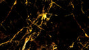 Black and Gold Abstract Marble Stone Peel and Stick Wall Mural.