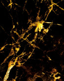 Black and Gold Abstract Marble Stone Peel and Stick Wall Mural.