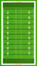 Football Field Wall Mural. 100 yard field with end zone large wall mural.