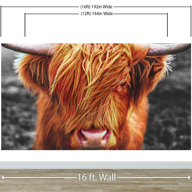 Highland Cow Cattle Head Wall Mural - Farmhouse Charm for Your Home.