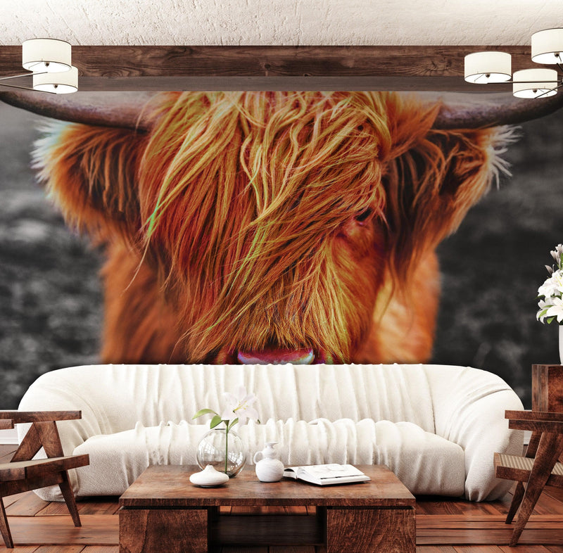 Highland Cow Cattle Head Wall Mural - Farmhouse Charm for Your Home.